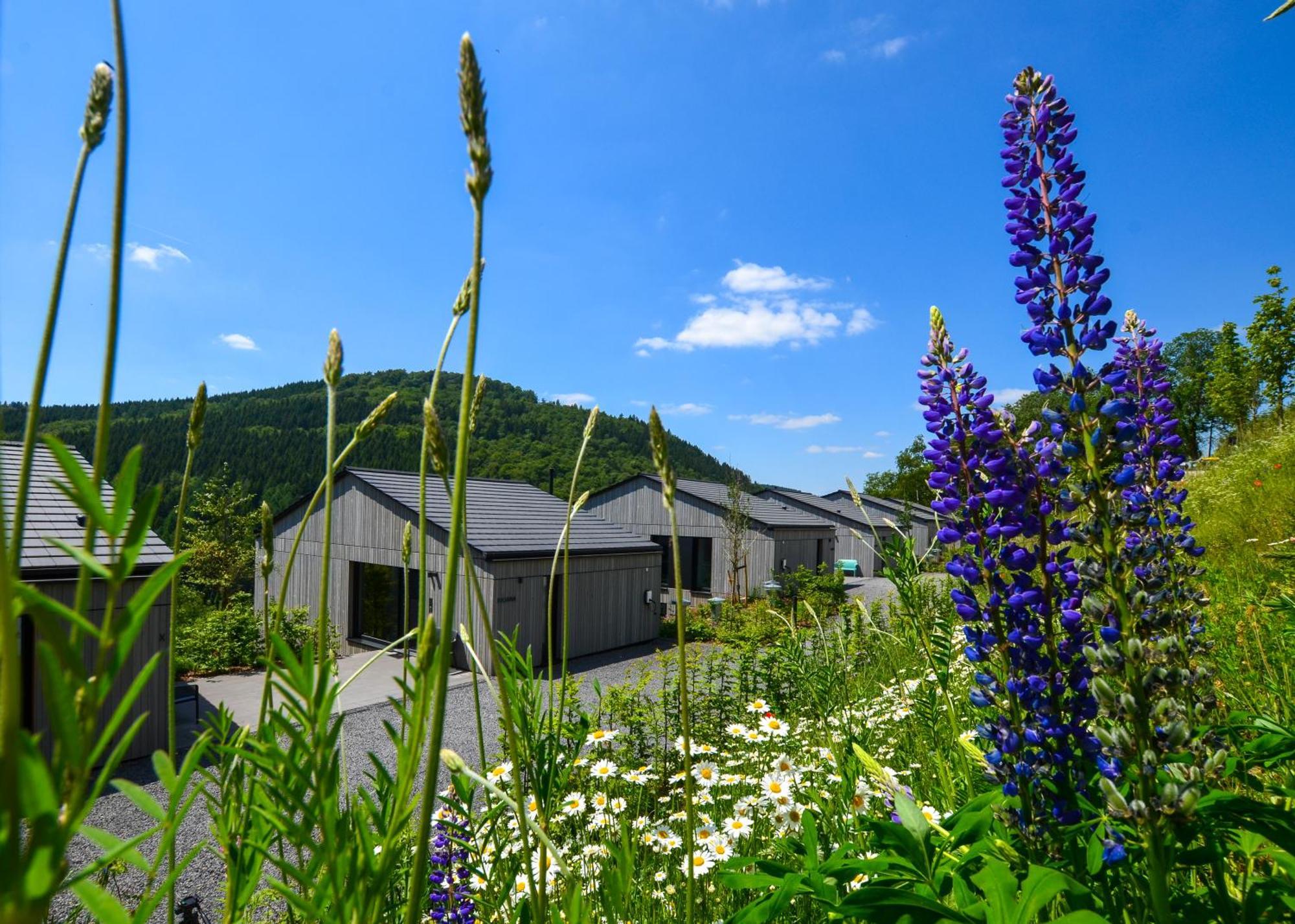 Sauerland Lodge - Haus Maxim Winterberg Zewnętrze zdjęcie